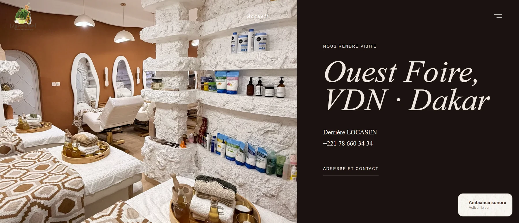 Ayurveda Hair — capture desktop du site